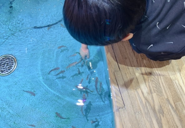 山の水族館で遊ぶ子供